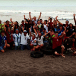 Veracruz sea turtles