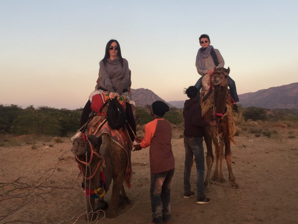 volunteer in India Jaipur camel tours